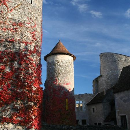 Chateau D'Ingrandes Ingrandes  ภายนอก รูปภาพ