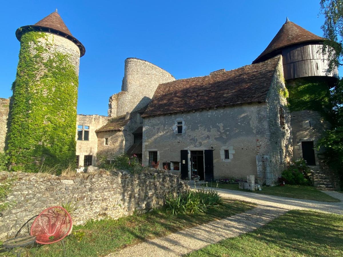 Chateau D'Ingrandes Ingrandes  ภายนอก รูปภาพ