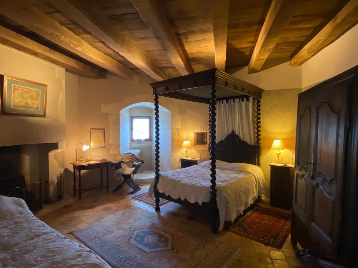 Chateau D'Ingrandes Ingrandes  ภายนอก รูปภาพ