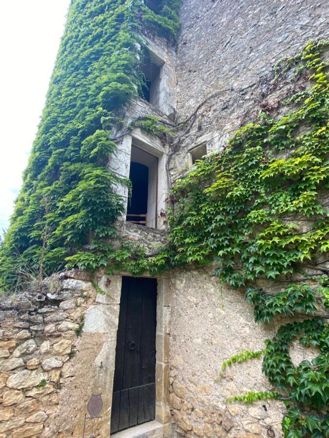 Chateau D'Ingrandes Ingrandes  ภายนอก รูปภาพ
