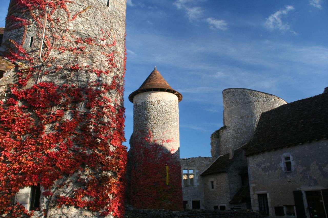 Chateau D'Ingrandes Ingrandes  ภายนอก รูปภาพ