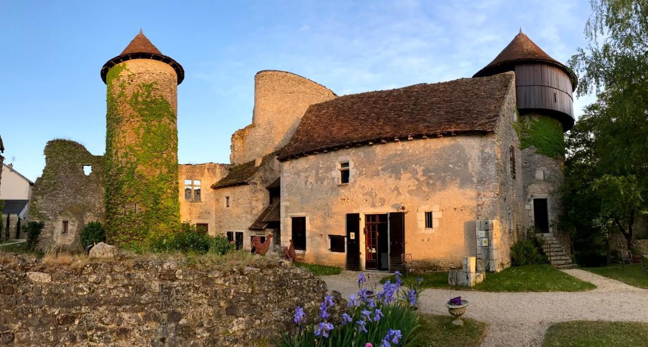 Chateau D'Ingrandes Ingrandes  ภายนอก รูปภาพ