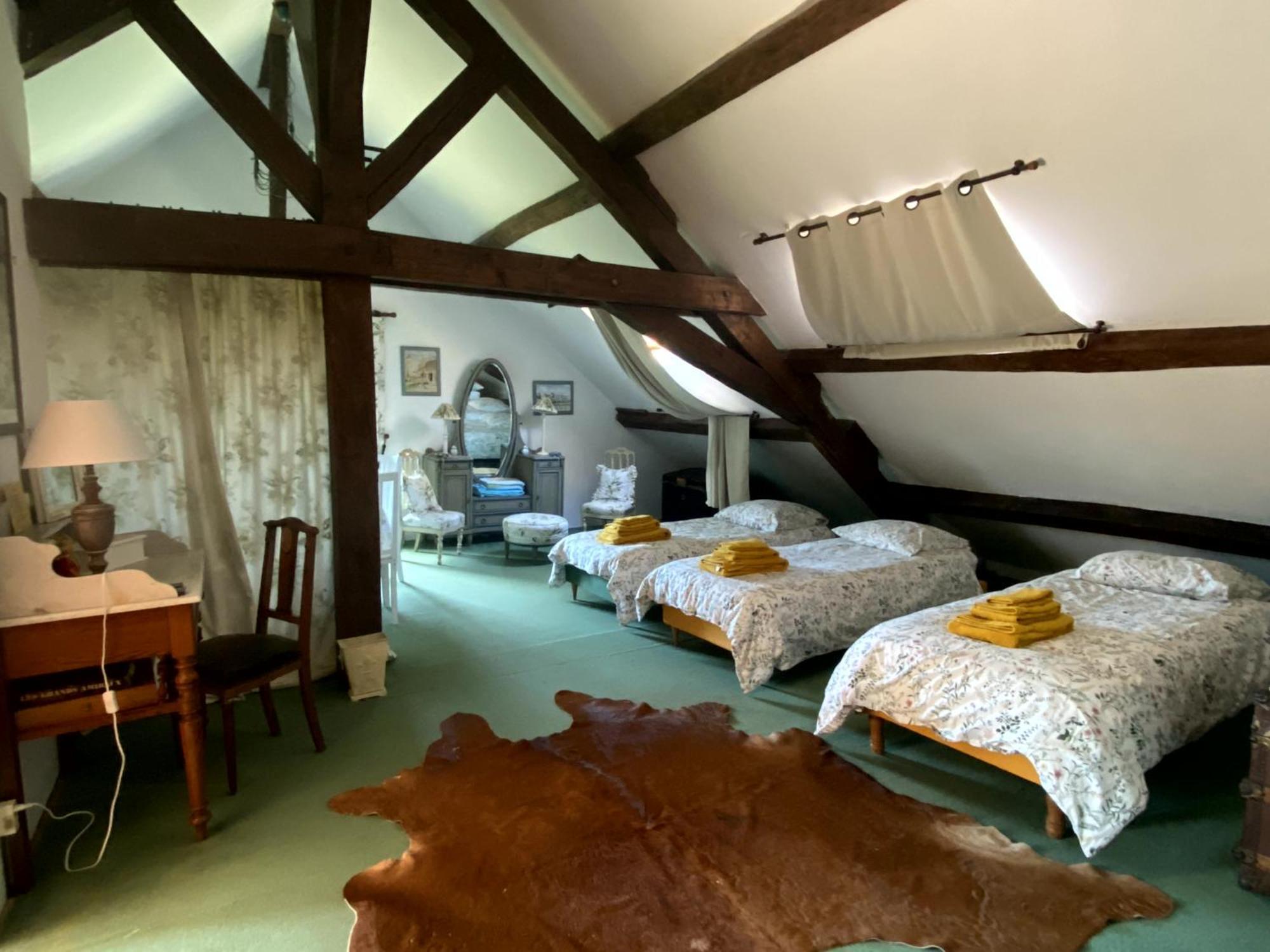 Chateau D'Ingrandes Ingrandes  ห้อง รูปภาพ