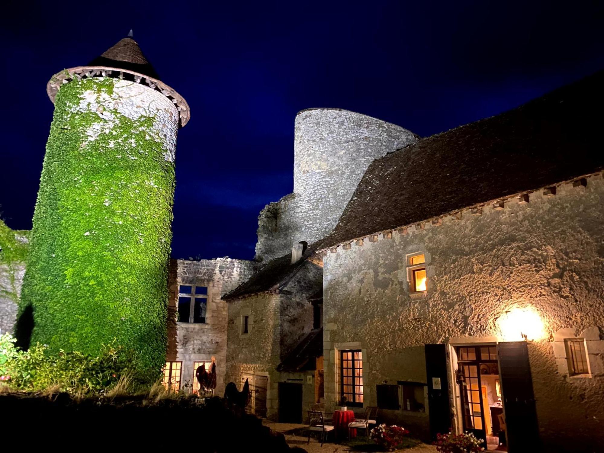 Chateau D'Ingrandes Ingrandes  ภายนอก รูปภาพ